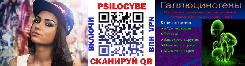 Псилоцибиновые грибы мицелий  Новочебоксарск 